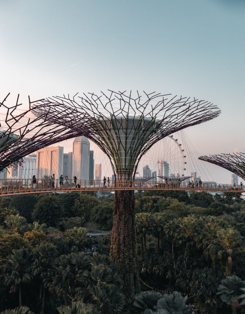 新加坡滨海湾花园超级树与空中步道